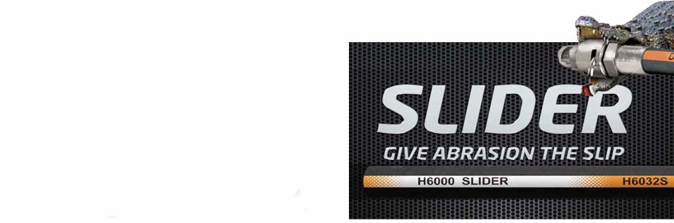 baner